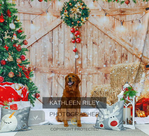 2022-KathleenRileyPhotography-2143