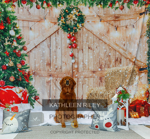 2022-KathleenRileyPhotography-2144