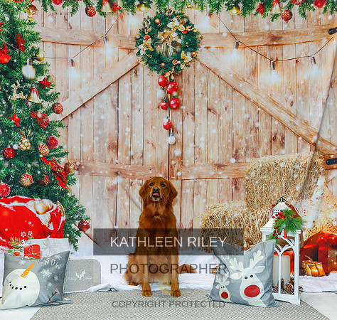 2022-KathleenRileyPhotography-2145