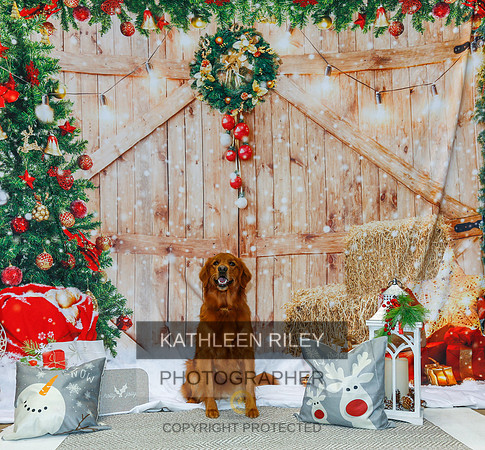 2022-KathleenRileyPhotography-2146