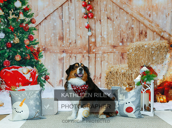2022-KathleenRileyPhotography-2163