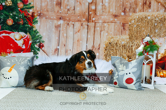 2022-KathleenRileyPhotography-2165