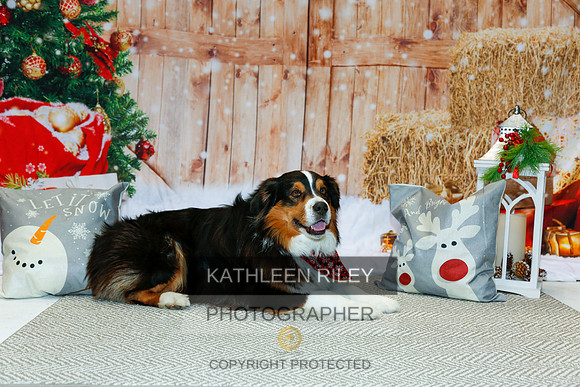 2022-KathleenRileyPhotography-2166