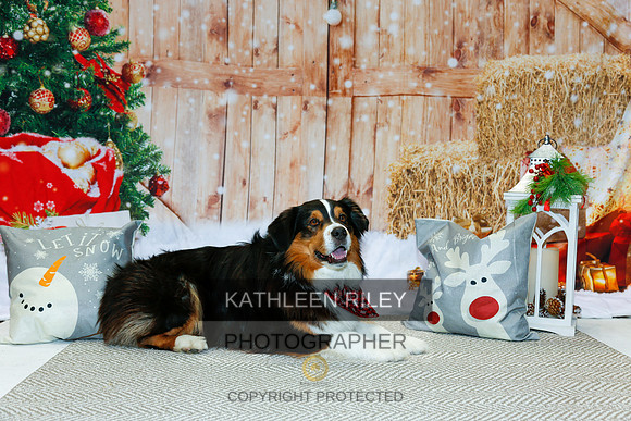 2022-KathleenRileyPhotography-2168