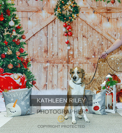 2022-KathleenRileyPhotography-2187