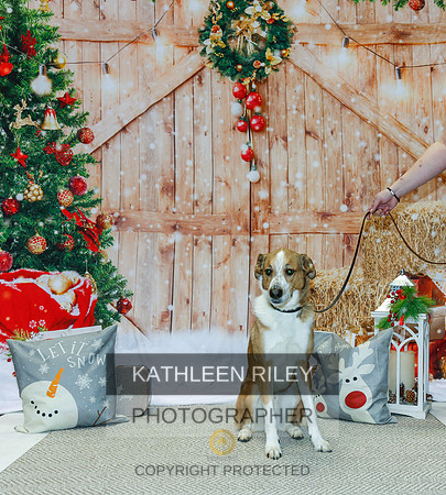 2022-KathleenRileyPhotography-2188
