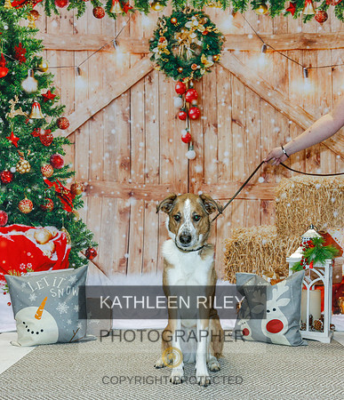 2022-KathleenRileyPhotography-2189