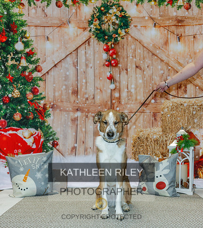 2022-KathleenRileyPhotography-2190