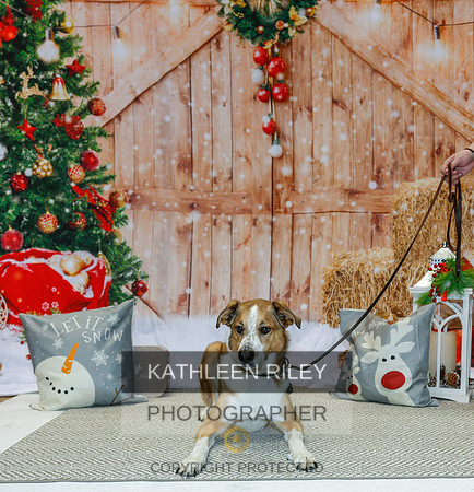2022-KathleenRileyPhotography-2192