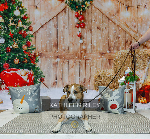 2022-KathleenRileyPhotography-2193