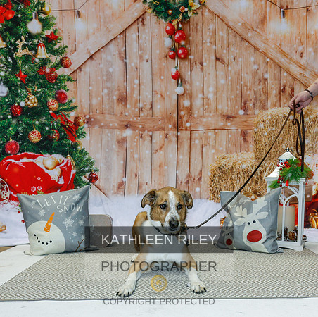 2022-KathleenRileyPhotography-2194