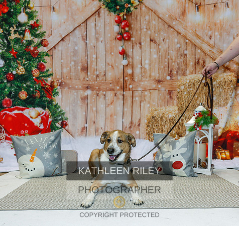 2022-KathleenRileyPhotography-2195