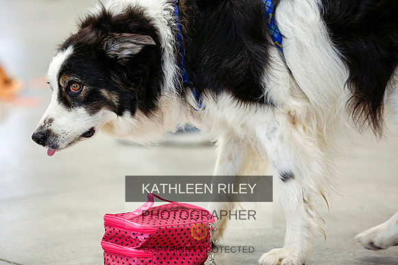 2022-KathleenRileyPhotography-7243