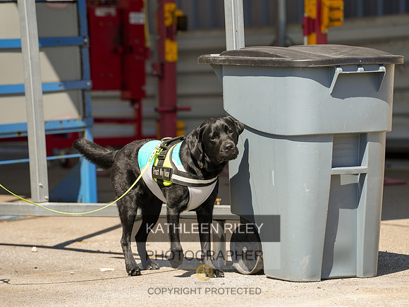 2022-KathleenRileyPhotography-04028