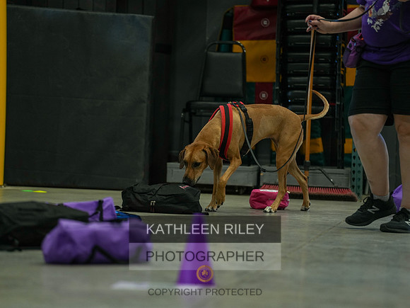 2022-KathleenRileyPhotography-03785