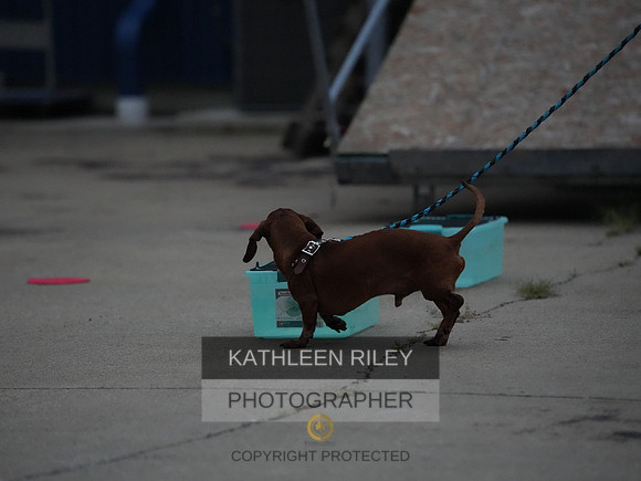 2022-KathleenRileyPhotography117