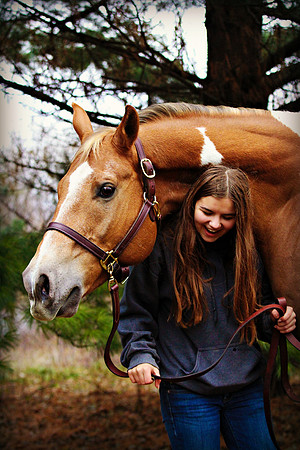 This is how it looks to get your first horse