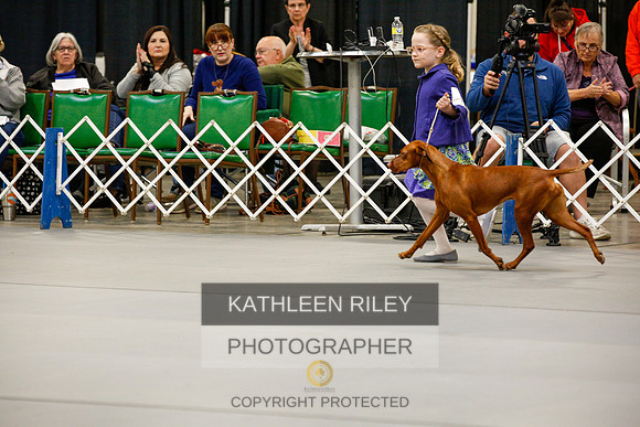 2022-KathleenRileyPhotography-9962