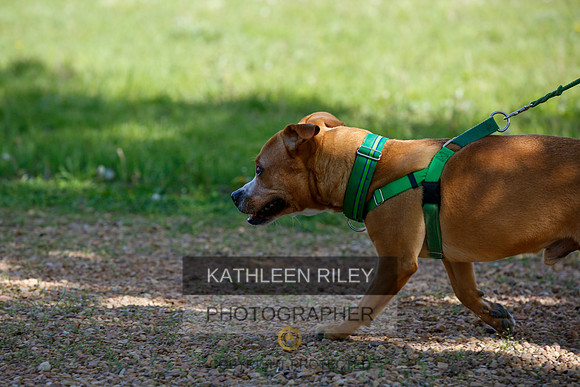 2022-KathleenRileyPhotography-3910