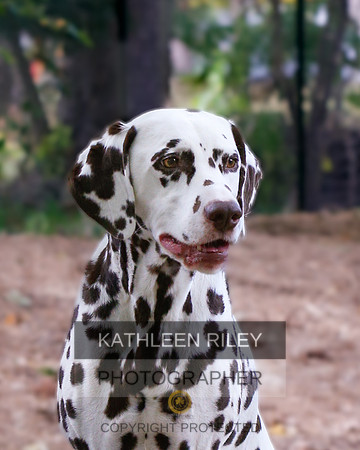 2022-KathleenRileyPhotography-6338-2