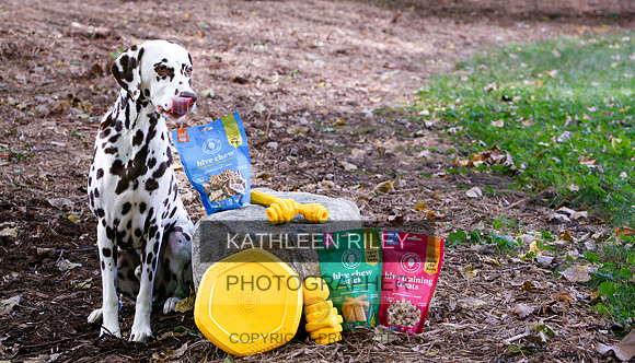 2022-KathleenRileyPhotography-6344