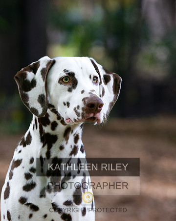2022-KathleenRileyPhotography-6372-2