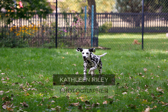 2022-KathleenRileyPhotography-6537