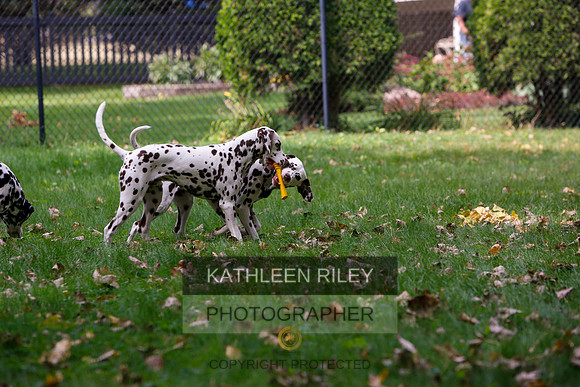 2022-KathleenRileyPhotography-6532
