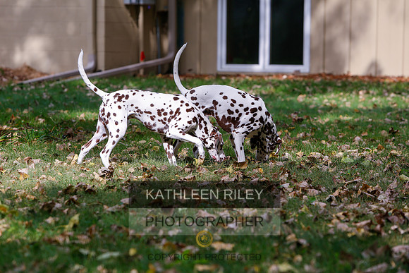 2022-KathleenRileyPhotography-6547