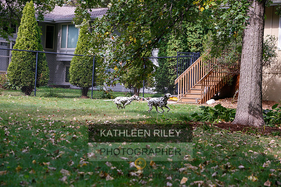 2022-KathleenRileyPhotography-6503