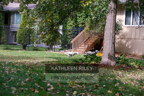 2022-KathleenRileyPhotography-6505
