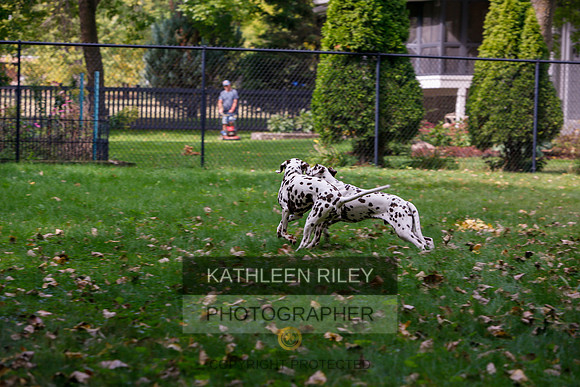 2022-KathleenRileyPhotography-6510