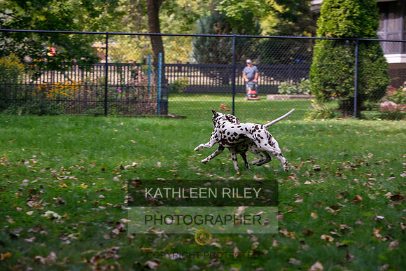 2022-KathleenRileyPhotography-6511