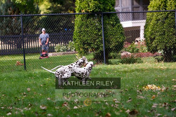 2022-KathleenRileyPhotography-6512