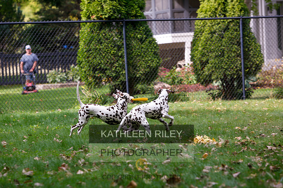 2022-KathleenRileyPhotography-6513