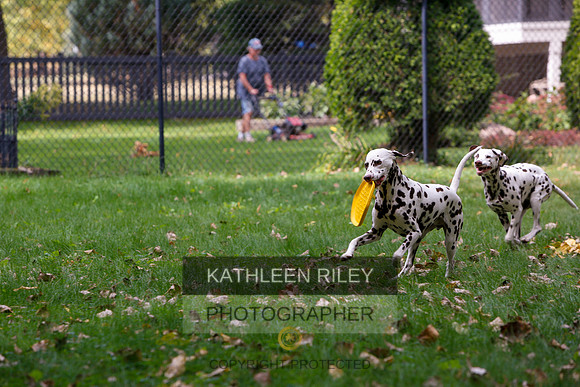 2022-KathleenRileyPhotography-6517