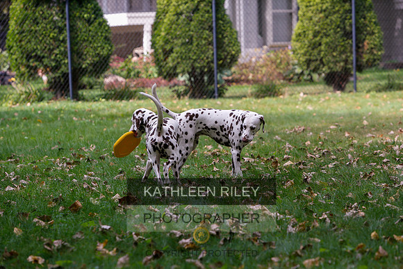 2022-KathleenRileyPhotography-6520