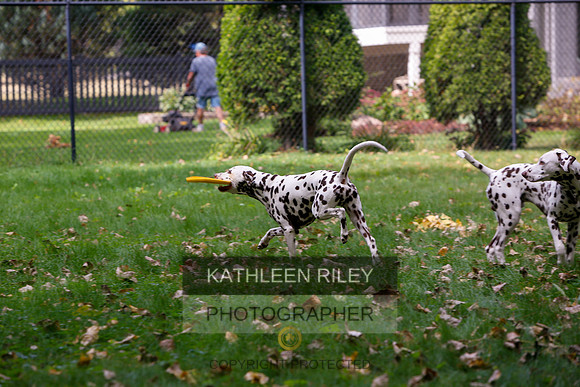 2022-KathleenRileyPhotography-6521