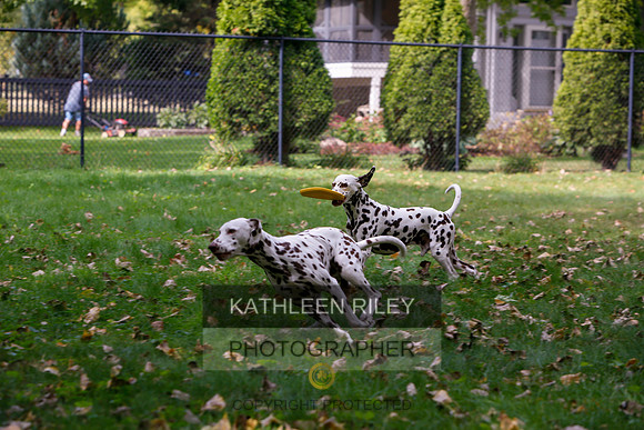 2022-KathleenRileyPhotography-6522
