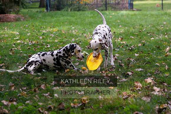 2022-KathleenRileyPhotography-6527