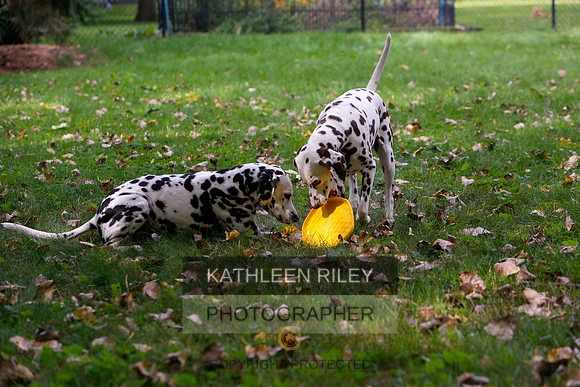 2022-KathleenRileyPhotography-6528