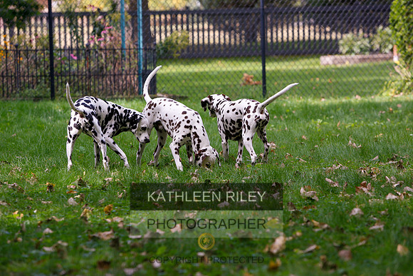2022-KathleenRileyPhotography-6530