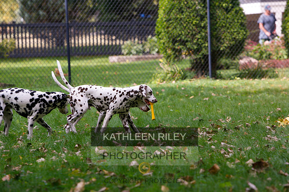 2022-KathleenRileyPhotography-6531