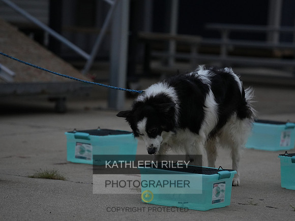 2022-KathleenRileyPhotography025