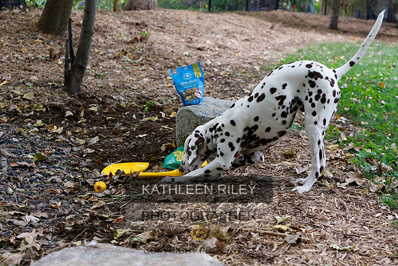 2022-KathleenRileyPhotography-6437