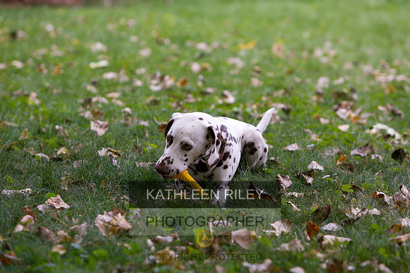 2022-KathleenRileyPhotography-6457