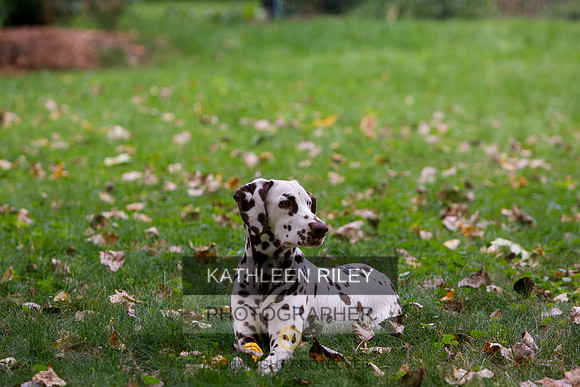 2022-KathleenRileyPhotography-6475