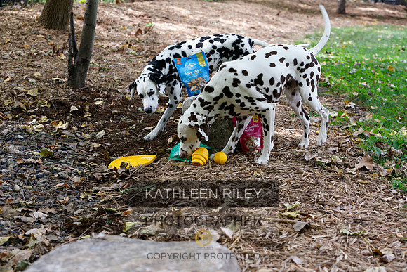 2022-KathleenRileyPhotography-6480