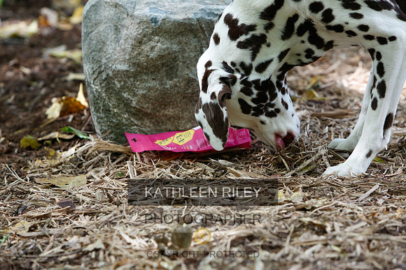 2022-KathleenRileyPhotography-6488