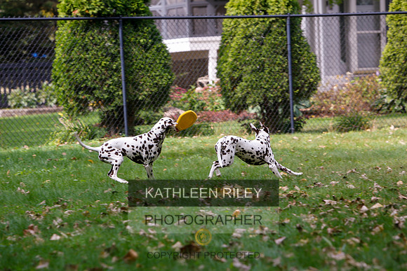 2022-KathleenRileyPhotography-6514